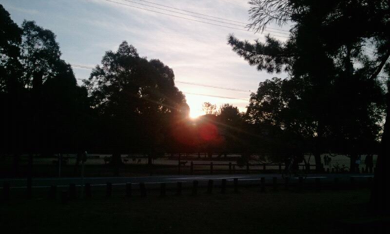 20112_466231083414871_82126351_n