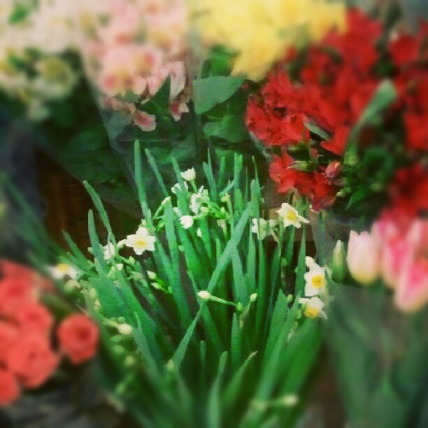 27292_473051186066194_555302529_n