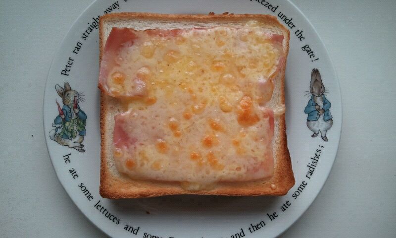 409684_554210517923218_1531678103_n