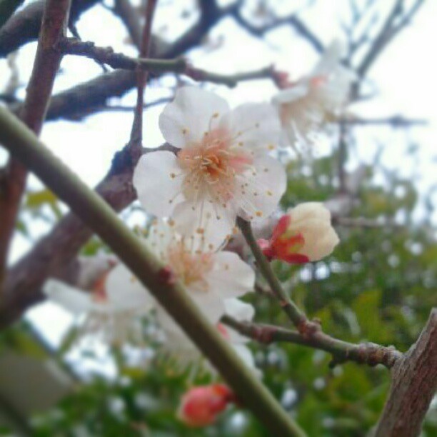 544144_489725527732093_432673785_n