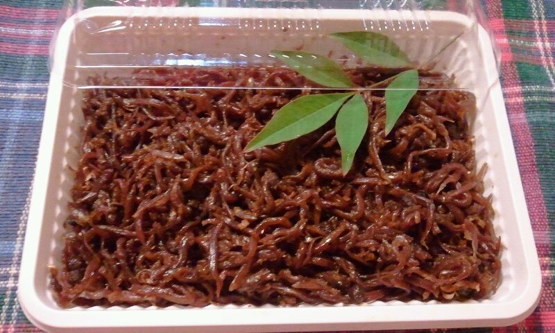 6705_586482978029305_872982783_n