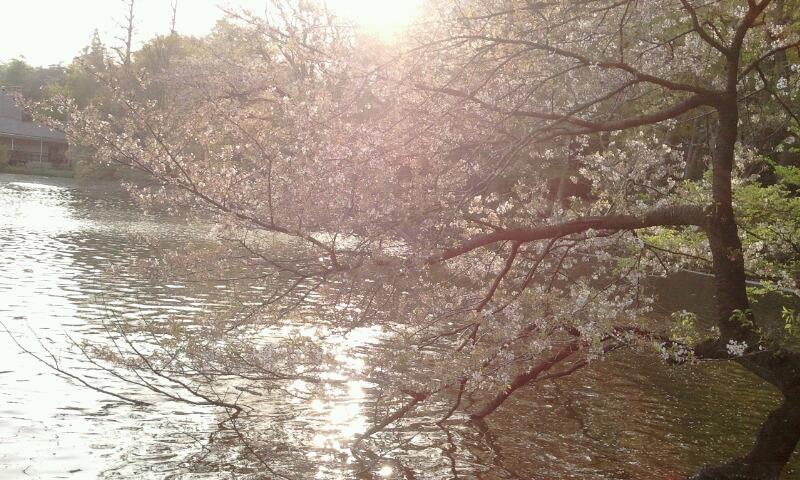 150421_503574206347225_1901966320_n