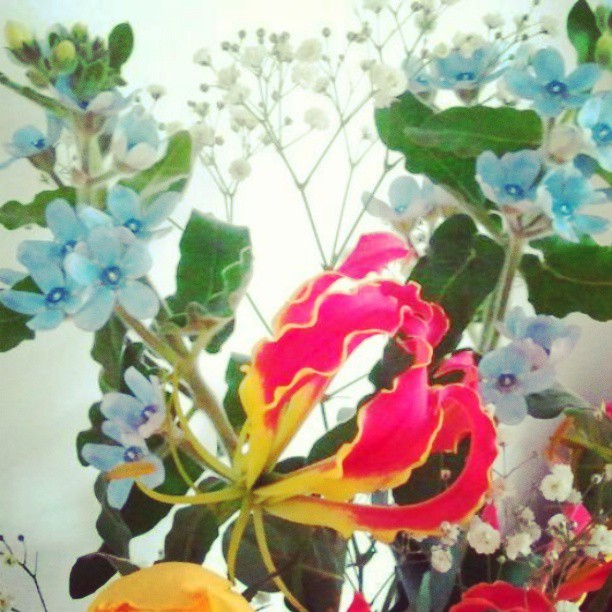 536987_508303515874294_227010241_n