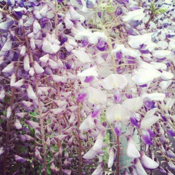 68962_505260419511937_1987879022_n