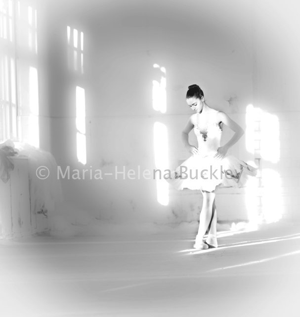 149076_163993463640792_2769032_n