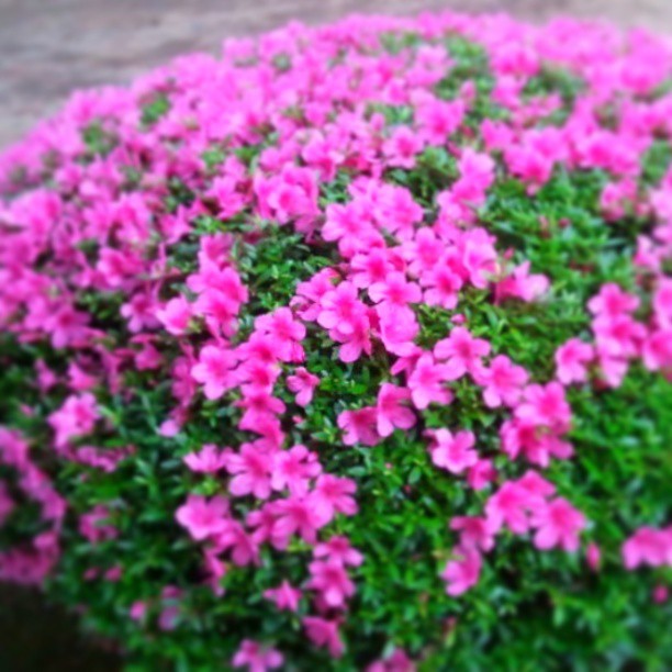 263207_521809581190354_1730114470_n