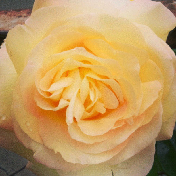 575588_512189158819063_1885394171_n