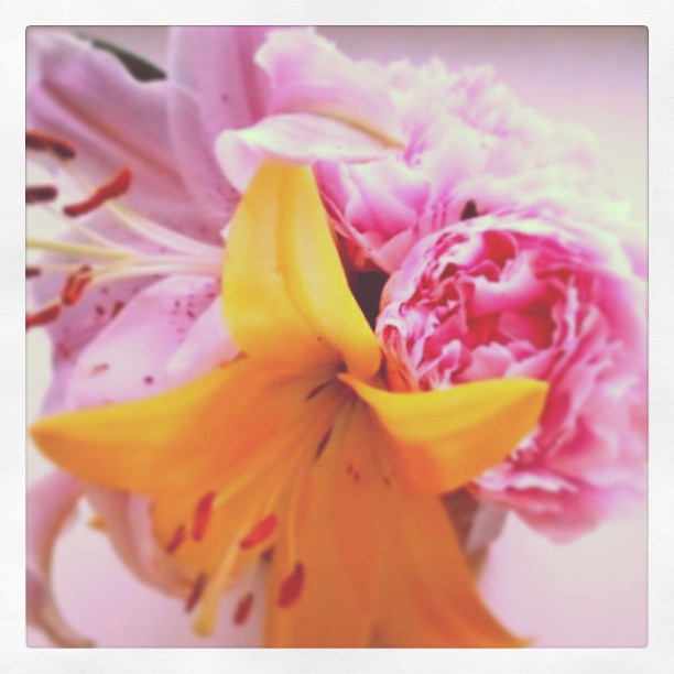 971817_519628171408495_1338262487_n