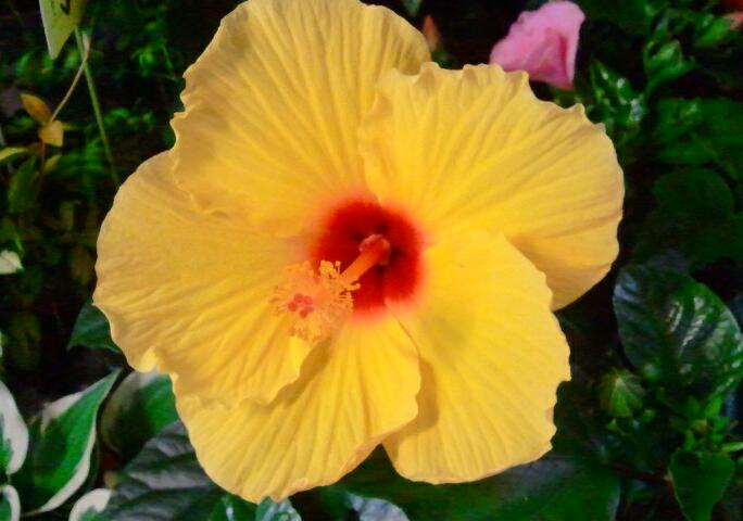 2013-06-03 19.35.58-1