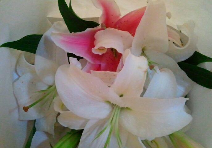 2013-06-14 20.30.50-1