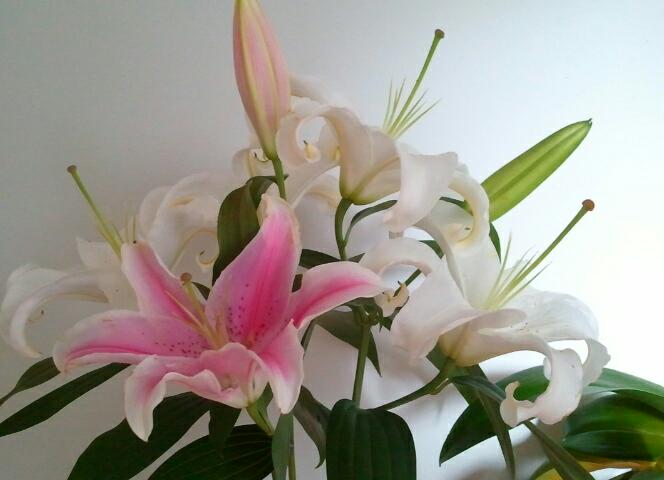 2013-06-15 07.45.49-1