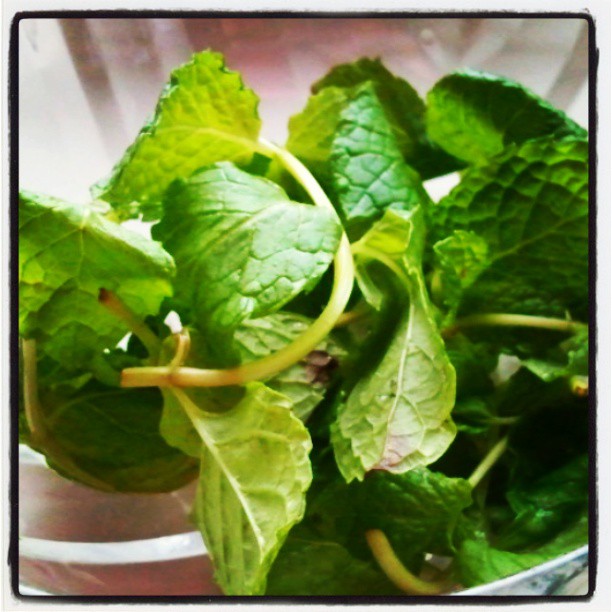 1004767_536271363077509_554543704_n