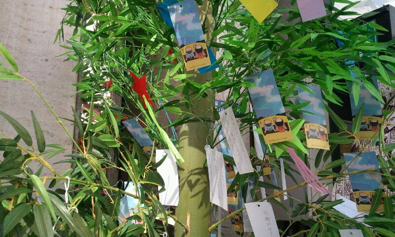 1044952_536022976435681_349751387_n