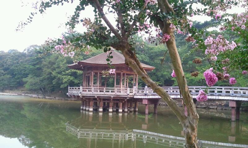 1000586_551098114928167_1293853079_n