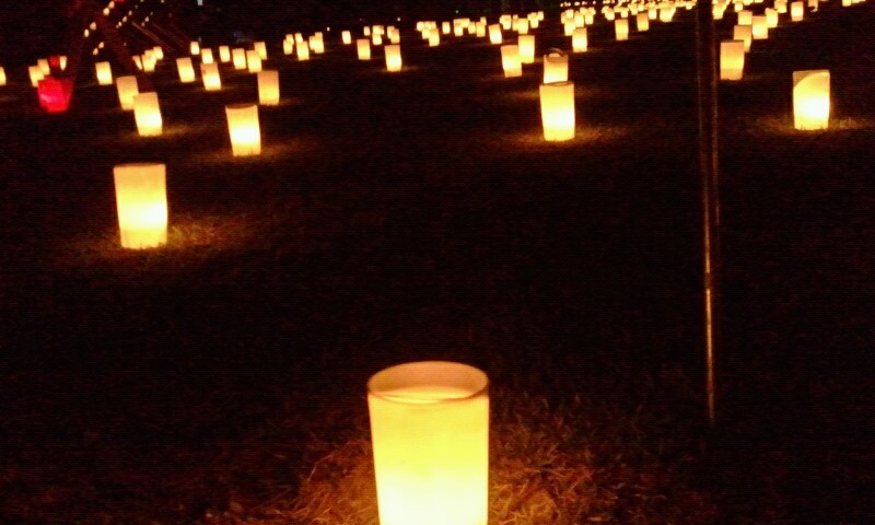 1001240_550506871653958_937088402_n