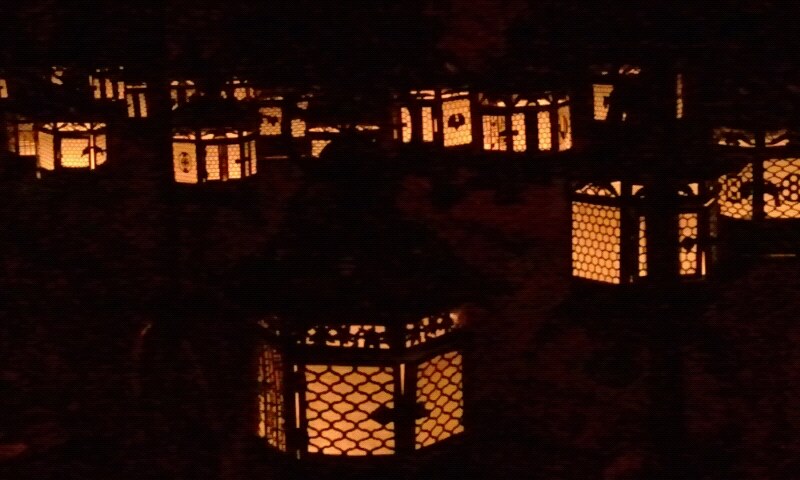 1004851_550507424987236_1373493746_n