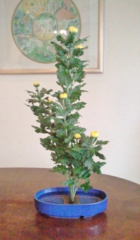 1239885_567185266652785_1708630796_n