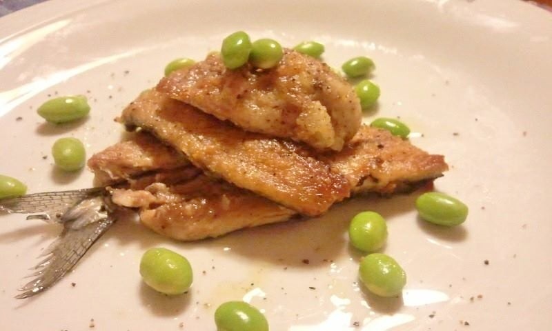 13003_677564452254490_1834176293_n