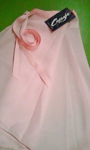 1455133_599075223463789_961423933_n