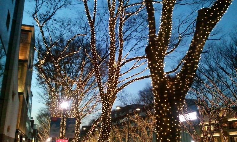 1464737_601115479926430_1845395913_n