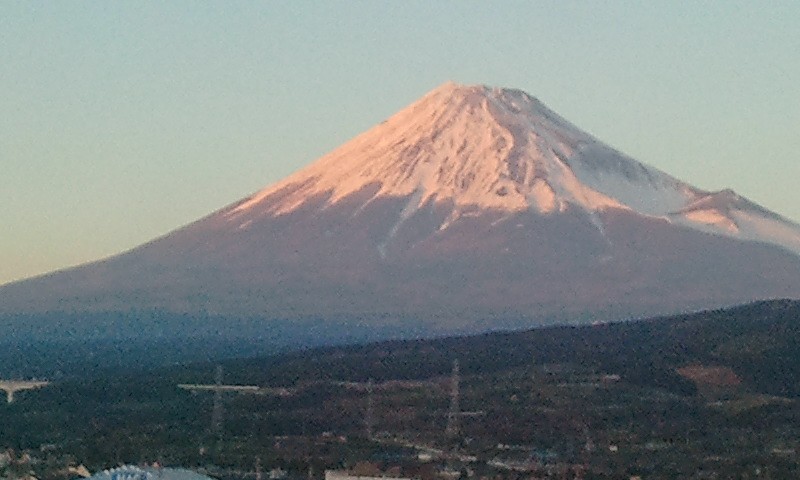 1506568_608840589153919_1343843858_n