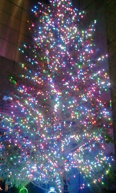 936077_599891966715448_1275278518_n