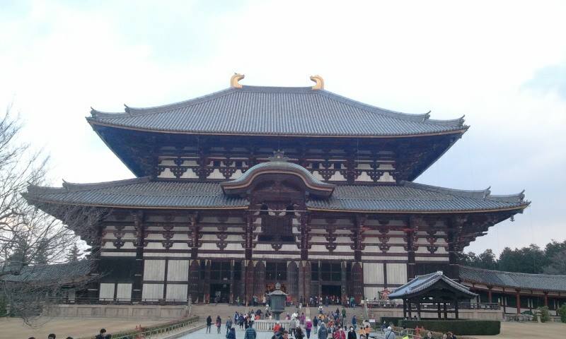 1496609_609566575747987_629309329_n