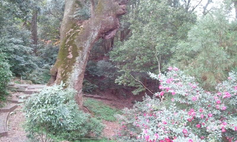 1520615_610155252355786_74360181_n