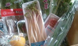 1526932_617438244960820_440347894_n