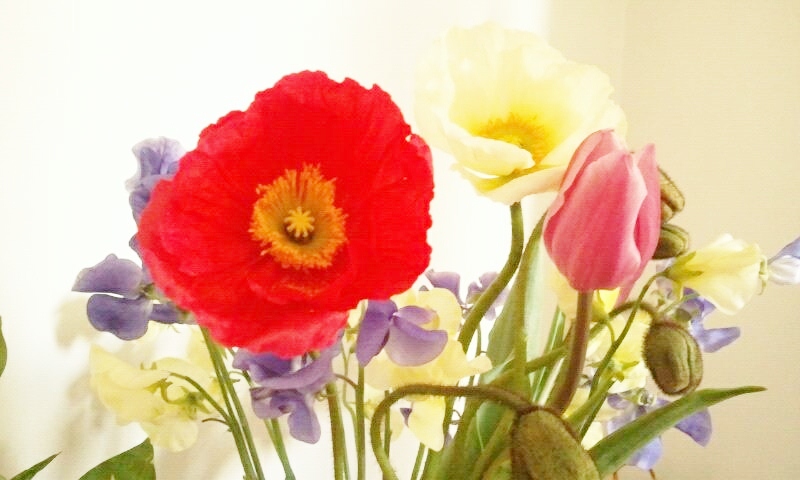 228172_477537688950877_1123869779_n