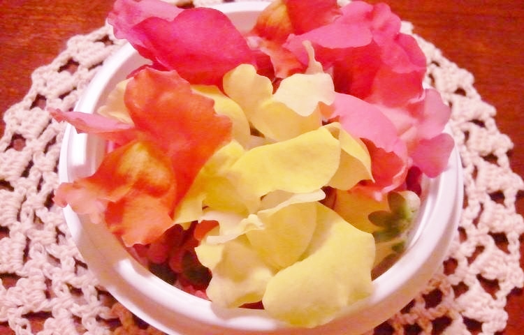 10250056_795224373821830_5710550041090361321_n