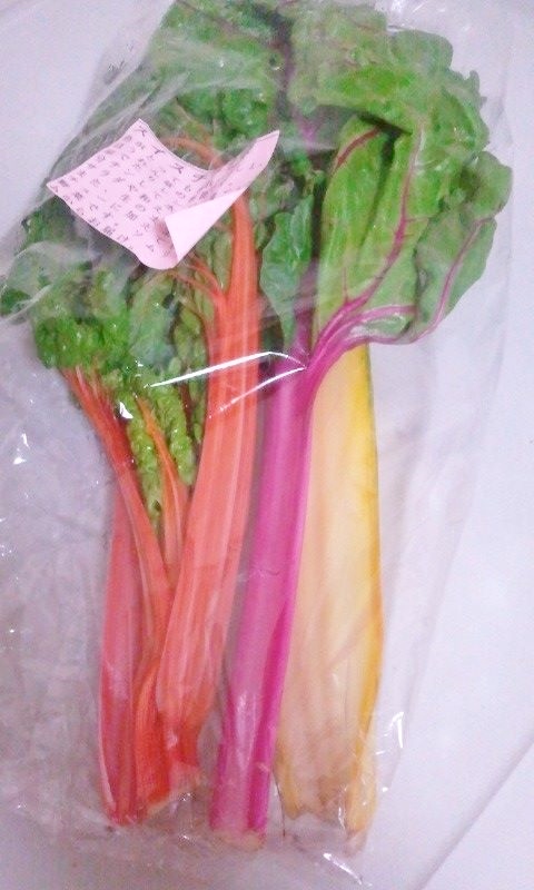 10262161_797399330271001_3661632594693861723_n