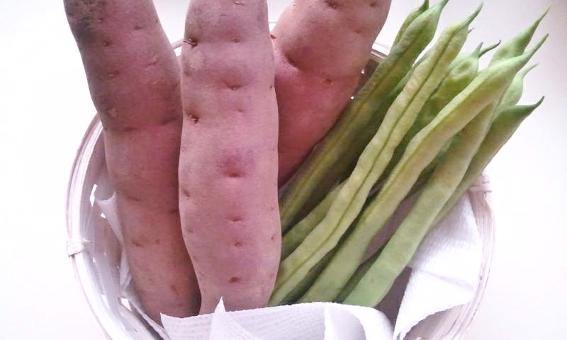 10307427_797751486902452_8948018403998245153_n