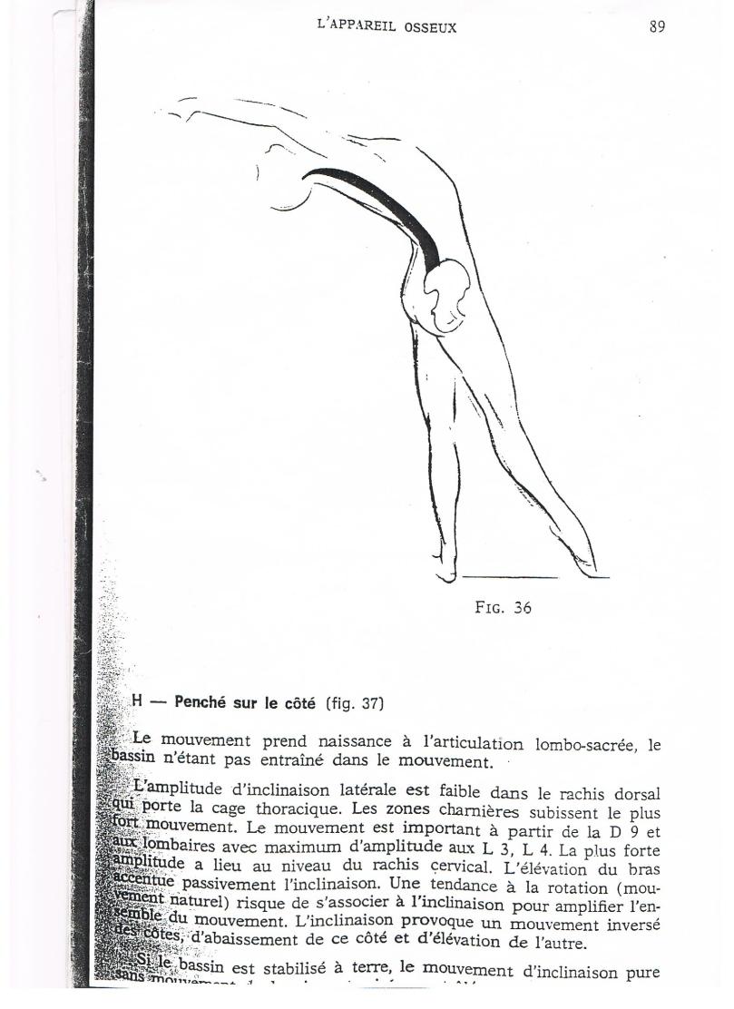 解剖学スケッチ２