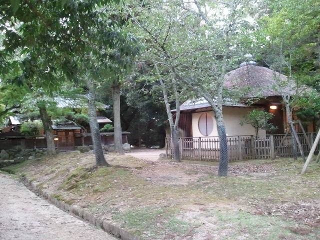 10552355_709053742465936_1990175079558562773_n