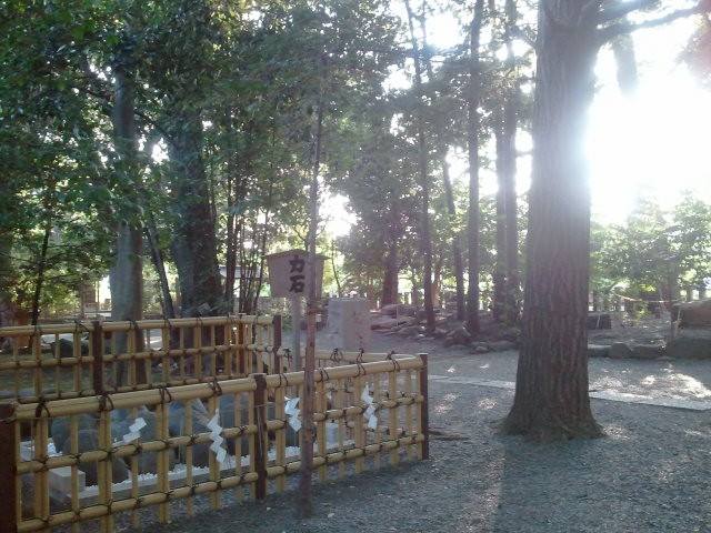 10559735_711306448907332_4733846123717046580_n