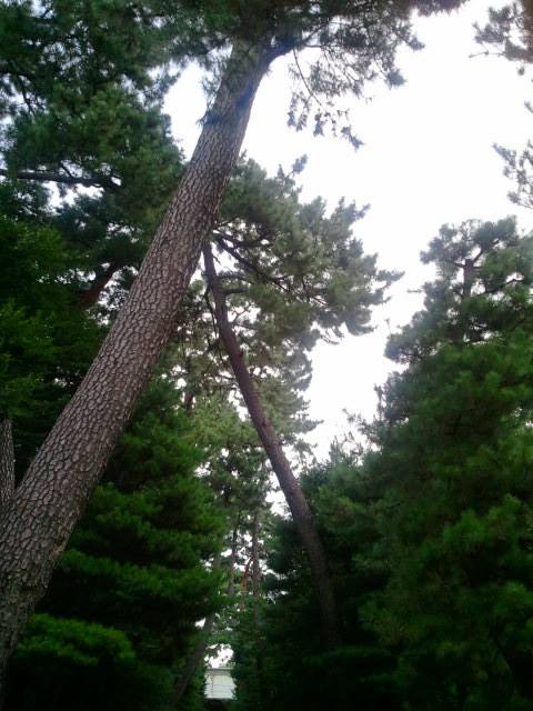 10592680_712530388784938_5966422411025697339_n