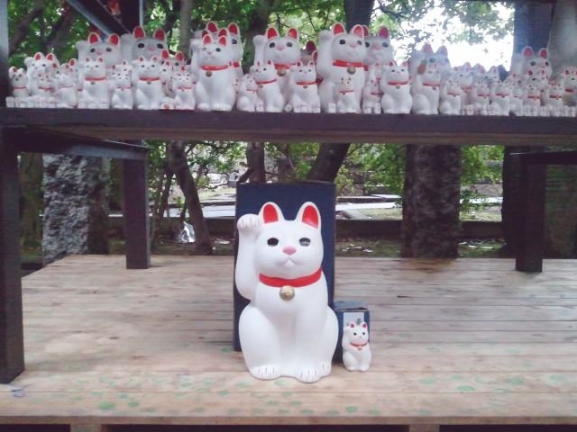 10616051_714580068579970_2476719546052152776_n