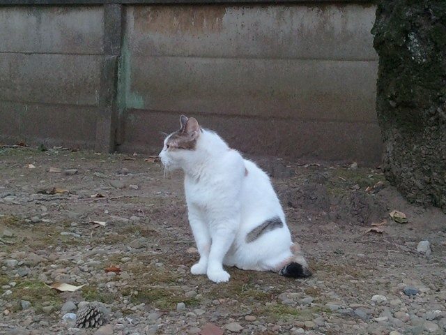 10620790_711734522197858_3028441164099359408_n