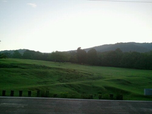 2014-08-18 05.42.49.jpg image