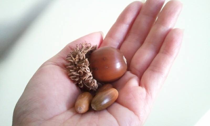 10636219_726628290708481_8220767588498210099_n