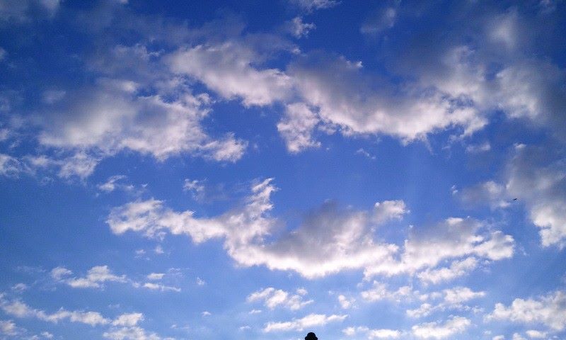 10365863_741223245915652_5621586470050998187_n