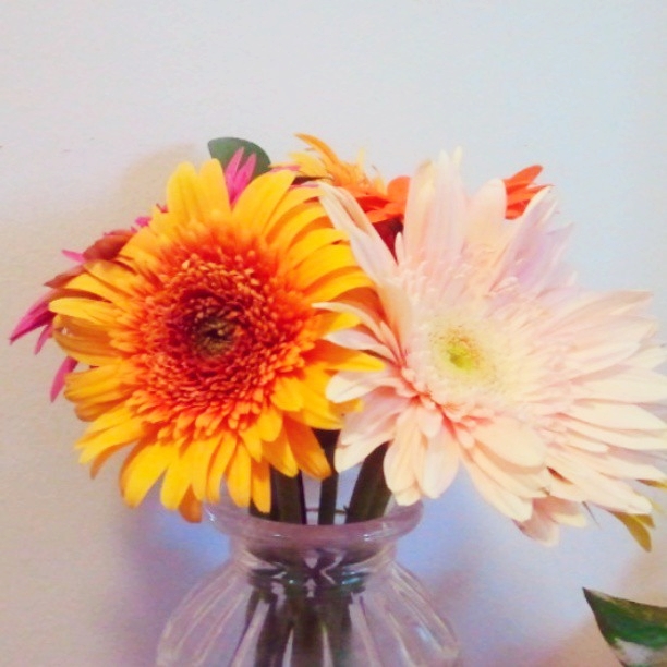 10632602_735013813203262_1556609632960953932_n