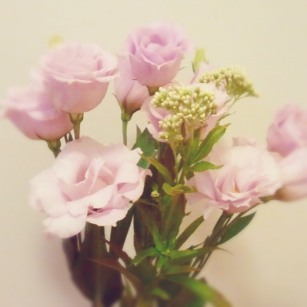 1962742_729629287075048_3135050335218299082_n