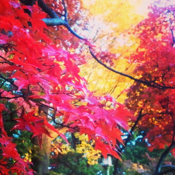 10386742_752416351463008_8783935190319306680_n