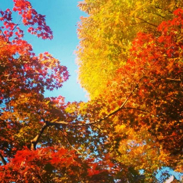 10689943_749558138415496_8045208269033324943_n