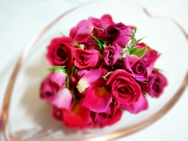 10464395_678538715517439_8767158507319737065_n