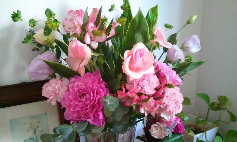 10802085_759746280730015_5894668116505715158_n