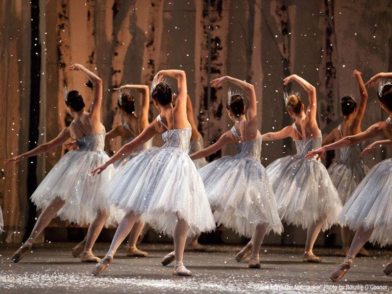 1466081_10152832054101858_5351774781629905133_n