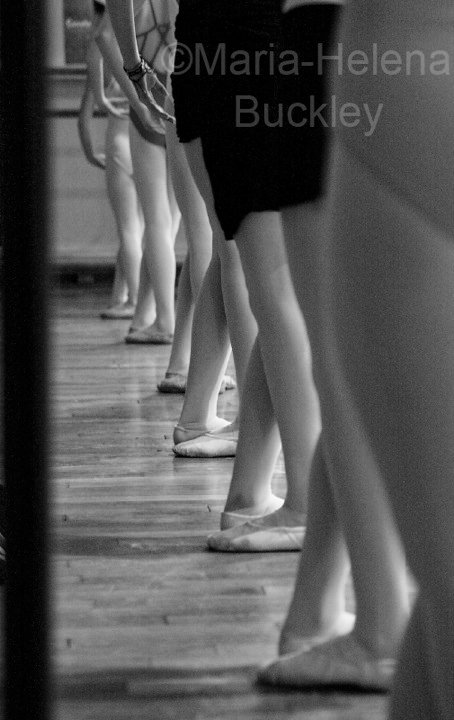 25314_102807989759340_3465103_n